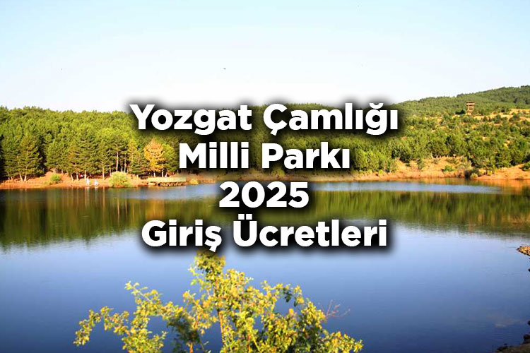 Türkiye'nin İlk Milli Parkı: Yozgat Çamlığı Milli Parkı 2025 Giriş Ücretleri