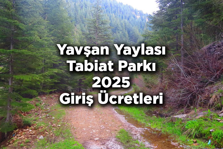 Yavşan Yaylası Tabiat Parkı 2025 Giriş Ücretleri - Yavşan Yaylası Tabiat Parkı Kamp Alanı