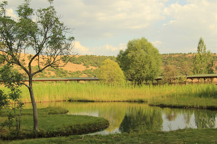 Yüzen Adalar Tabiat Anıtı İmkanları Ve Olanakları