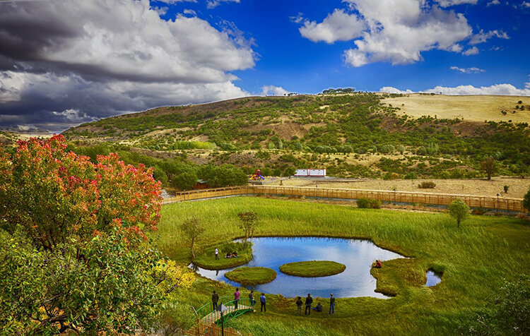 Yüzen Adalar Tabiat Anıtı Nerede Ve Nasıl Gidilir?