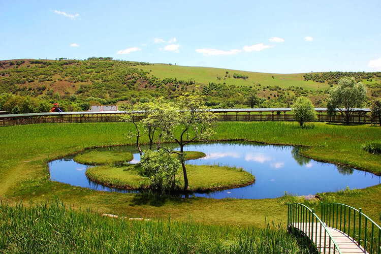 Yüzen Adalar Tabiat Anıtı Özellikleri