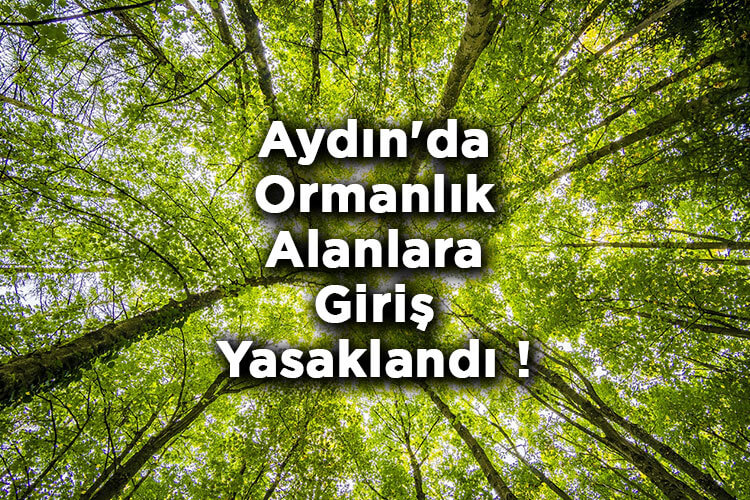 Aydın'da Ormanlık Alanlara Giriş Yasaklandı! – Aydın'da Ormana Giriş Yasak Mı?