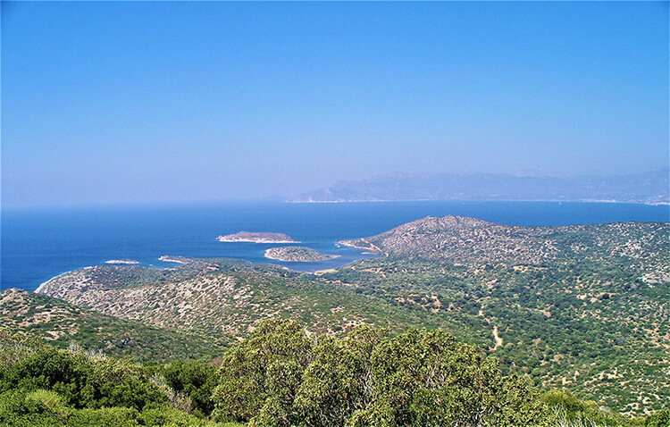 Cezalar İle İlgili Açıklama Yapıldı