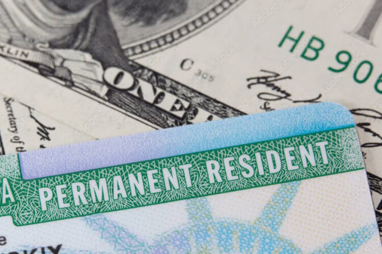 Green Card Başvuru Sonucu Nasıl Öğrenilir? – Green Card Başvuru Sonucu Öğrenme Ekranı