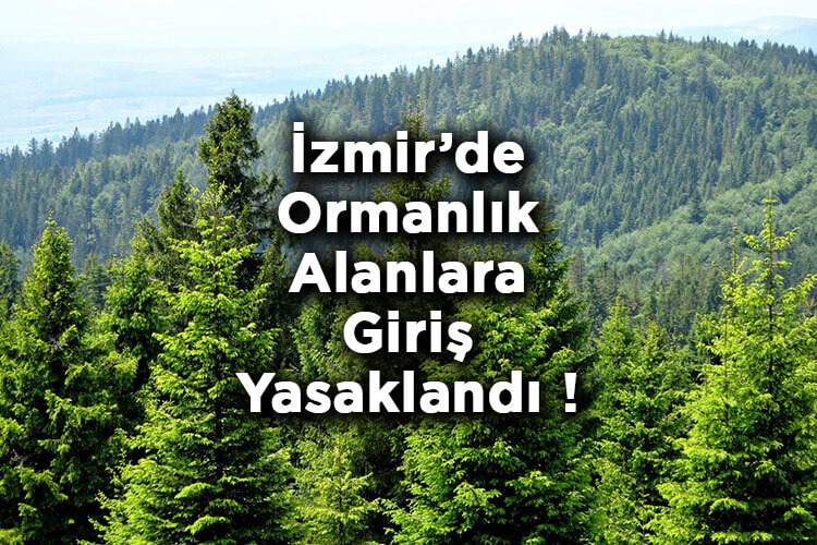 İzmir'de Ormanlık Alanlara Giriş Yasaklandı! – İzmir'de Ormana Giriş Yasak Mı?