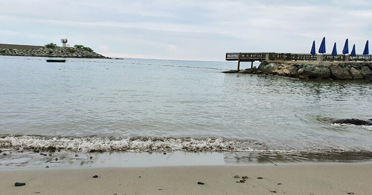 Viçe Plajı