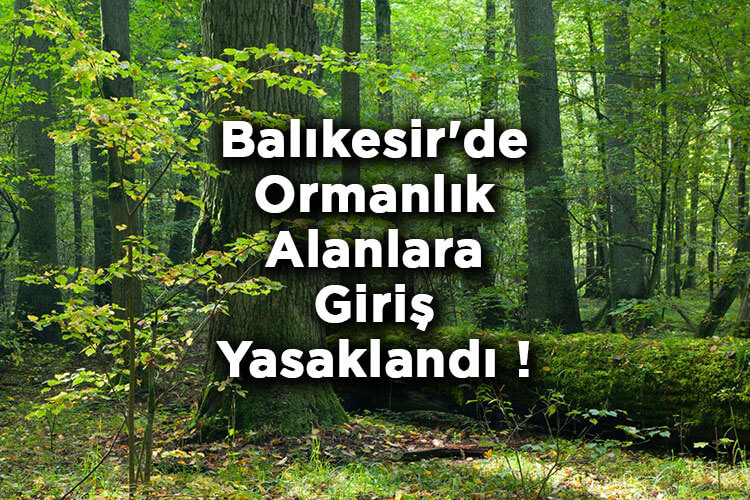 Balıkesir'de Ormanlık Alanlara Giriş Yasaklandı! – Balıkesir'de Ormana Giriş Yasak Mı?