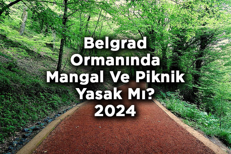 Belgrad Ormanında Mangal Yakmak Yasak Mı? - Belgrad Ormanında Piknik Yasak Mı? 2024