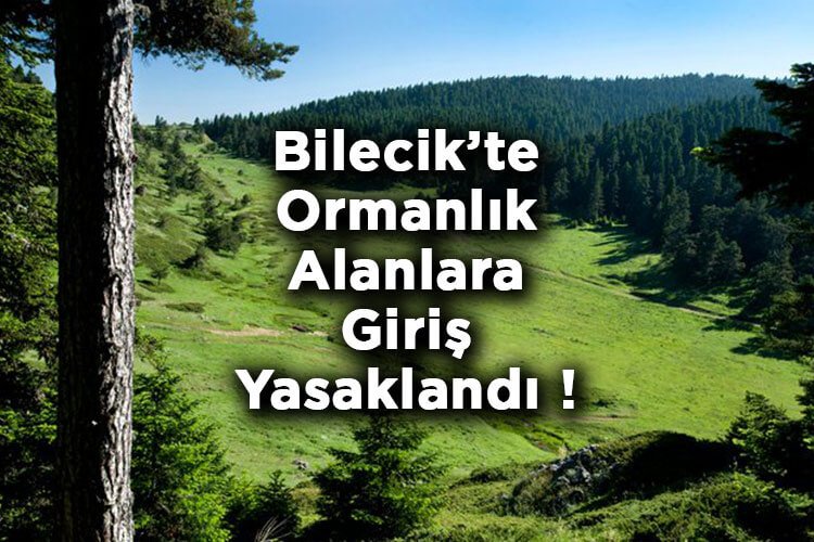 Bilecik'te Ormanlık Alanlara Giriş Yasaklandı! – Bilecik'te Ormana Giriş Yasak Mı?