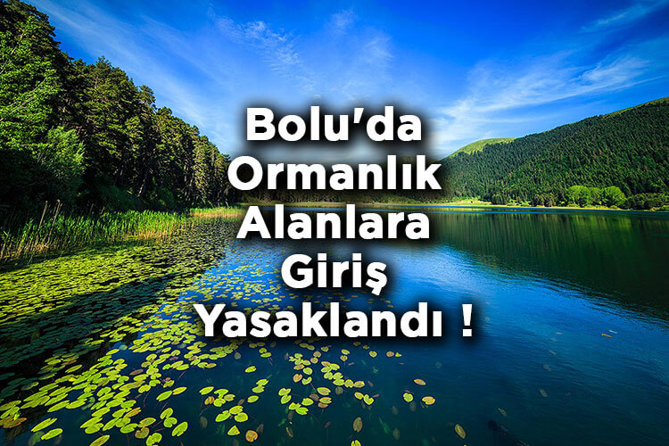 Bolu'da Ormanlık Alanlara Giriş Yasaklandı! – Bolu'da Ormana Giriş Yasak Mı?