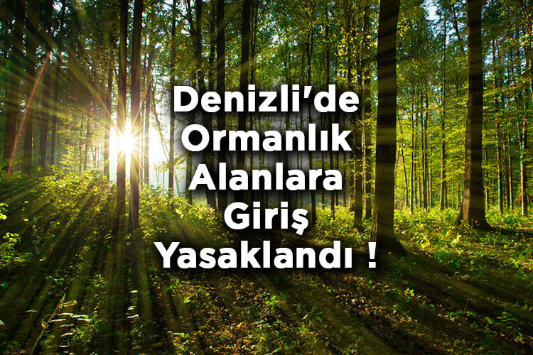 Denizli'de Ormanlık Alanlara Giriş Yasaklandı! - Denizli'de Ormana Giriş Yasak Mı?