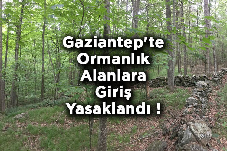 Gaziantep'te Ormanlık Alanlara Giriş Yasaklandı! – Gaziantep'te Ormana Giriş Yasak Mı?