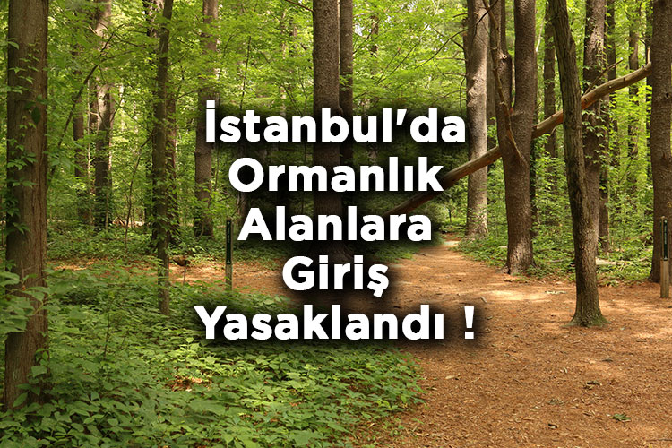 İstanbul'da Ormanlık Alanlara Giriş Yasaklandı! – İstanbul'da Ormana Giriş Yasak Mı?