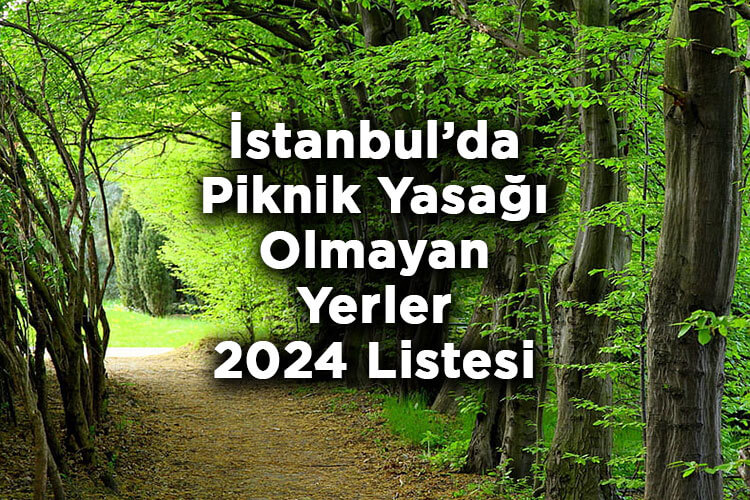 İstanbul’da Piknik Yasağı Olmayan Yerler Listesi 2024