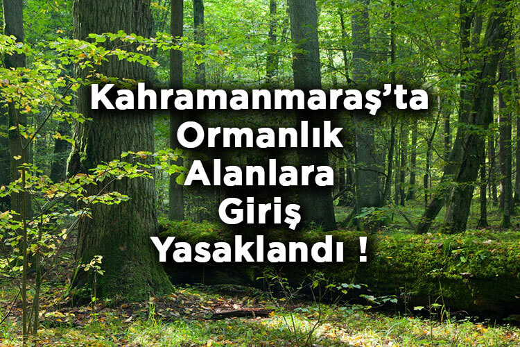 Kahramanmaraş'ta Ormanlık Alanlara Giriş Yasaklandı! – Kahramanmaraş'ta Ormana Giriş Yasak Mı?