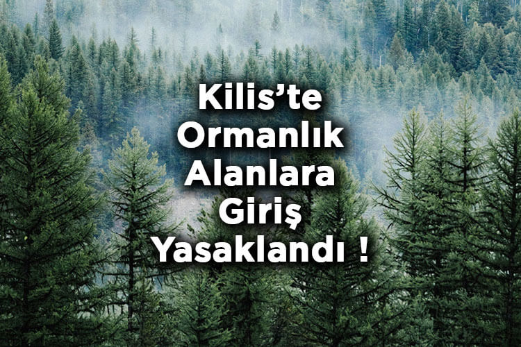 Kilis'te Ormanlık Alanlara Giriş Yasaklandı! – Kilis'te Ormana Giriş Yasak Mı?