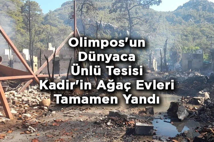 Olimpos'un Dünyaca Ünlü Tesisi Kadir'in Ağaç Evleri Tamamen Yandı