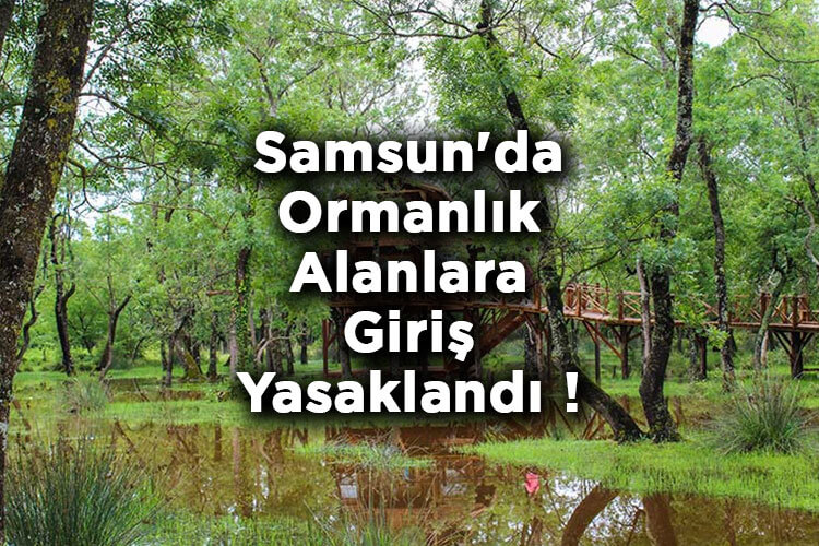Samsun'da Ormanlık Alanlara Giriş Yasaklandı! – Samsun'da Ormana Giriş Yasak Mı?