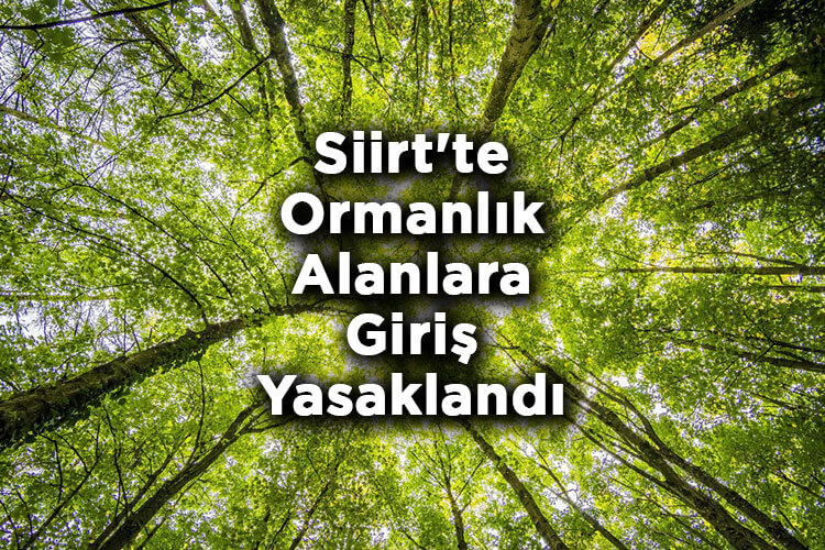 Siirt'te Ormanlık Alanlara Giriş Yasaklandı! – Siirt'te Ormana Giriş Yasak Mı?