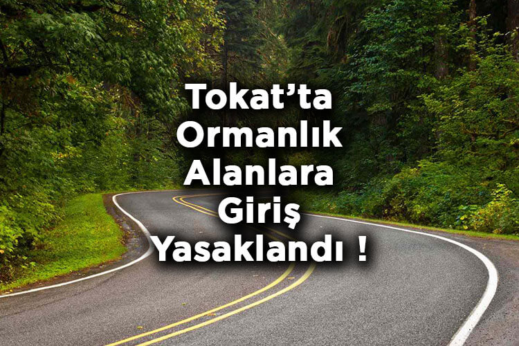 Tokat'ta Ormanlık Alanlara Giriş Yasaklandı! – Tokat'ta Ormana Giriş Yasak Mı?