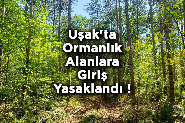 Uşak'ta Ormanlık Alanlara Giriş Yasaklandı! – Uşak'ta Ormana Giriş Yasak Mı?