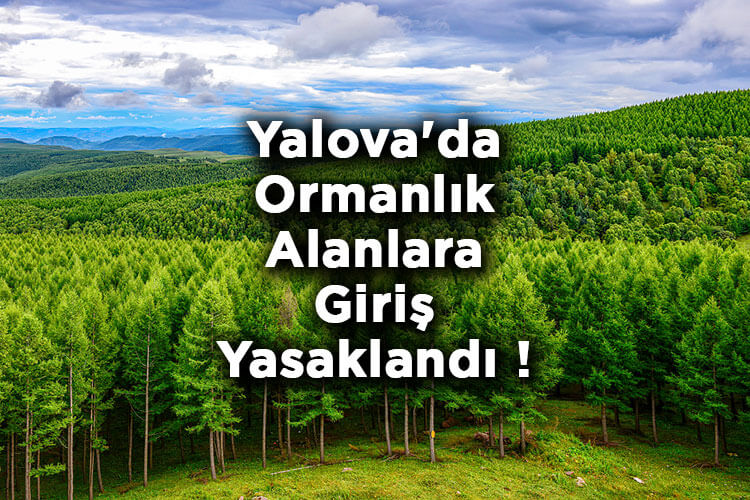 Yalova'da Ormanlık Alanlara Giriş Yasaklandı! – Yalova'da Ormana Giriş Yasak Mı?