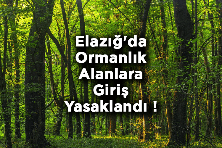 Elazığ'da Ormanlık Alanlara Giriş Yasaklandı! – Elazığ'da Ormana Giriş Yasak Mı?