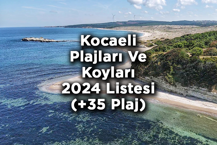 Kocaeli'de Denize Girilecek 35 Plaj – Kocaeli Plajları Ve Koyları 2024 Listesi