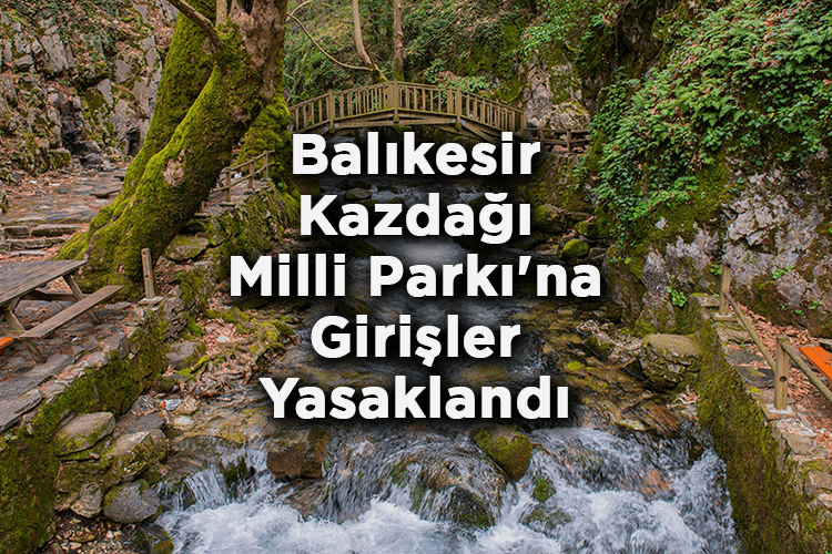 Balıkesir Kazdağı Milli Parkı'na Girişler Yasaklandı!