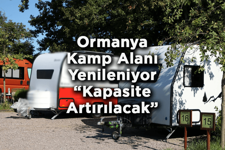 Kocaeli Ormanya Kamp Alanı Yenileniyor: Kapasite Artırılacak