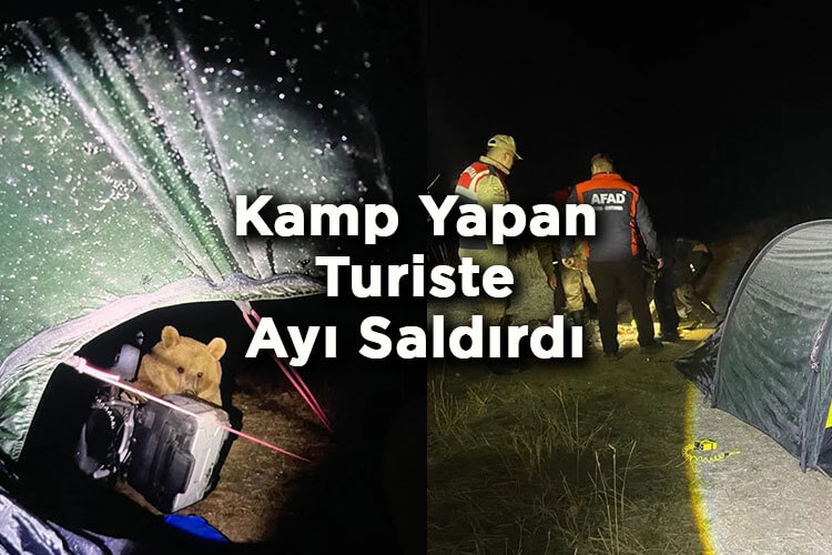 Bitlis Nemrut'ta Kamp Yapan Turiste Ayı Saldırdı!
