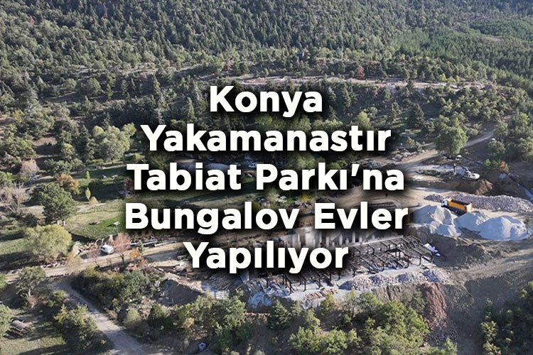 Konya Yakamanastır Tabiat Parkı'na Bungalov Evler Yapılıyor