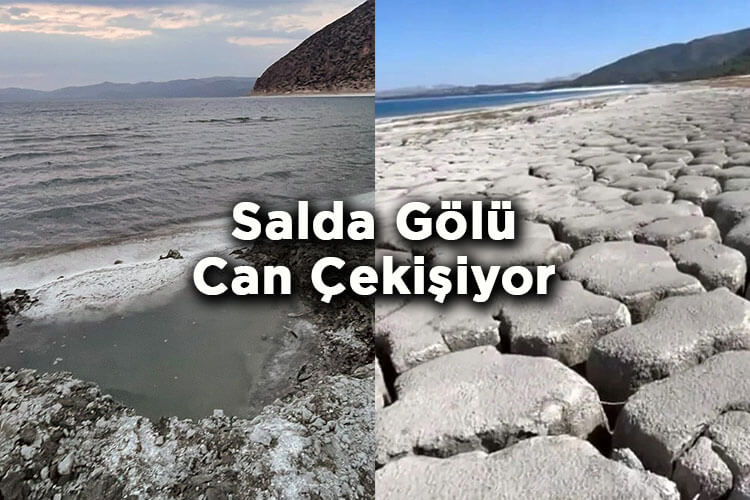 Salda Gölü'nde Su Çekilmesi Endişe Oluşturdu! - Su Seviyesi Son Üç Ayda 20 Metre Azaldı