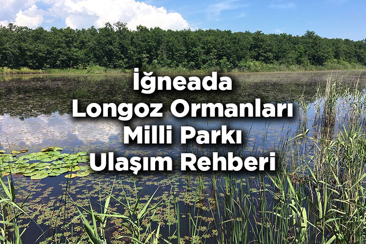 İğneada Longoz Ormanları Milli Parkı Ulaşım Rehberi
