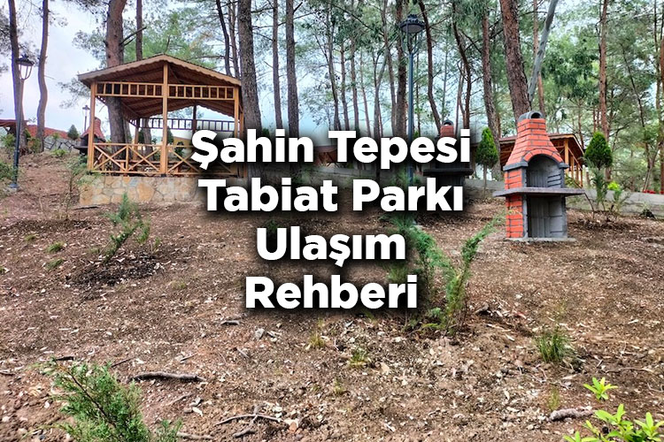Şahin Tepesi Tabiat Parkı Ulaşım Rehberi