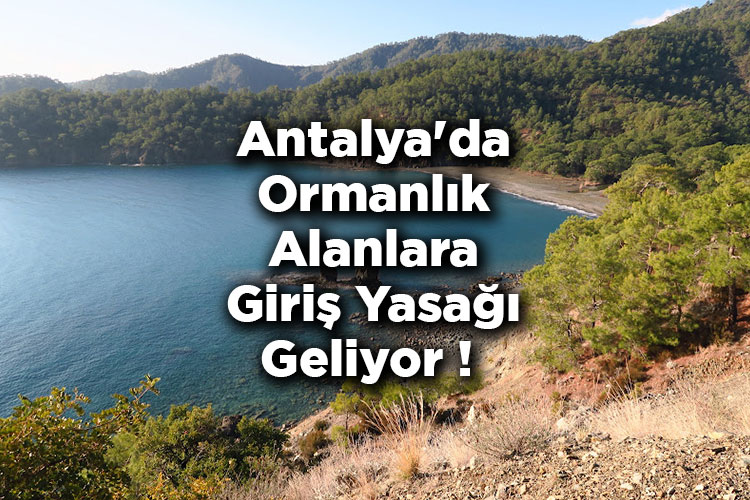 Antalya'da Ormanlık Alanlara Giriş Yasağı Geliyor! - Antalya Valisi Açıklama Yaptı