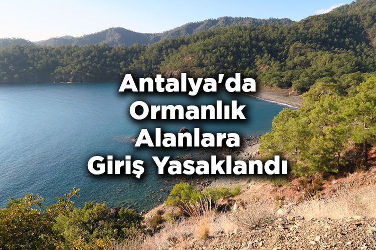 Antalya'da Ormanlık Alanlara Giriş Yasaklandı! – Antalya'da Ormana Giriş Yasak Mı?