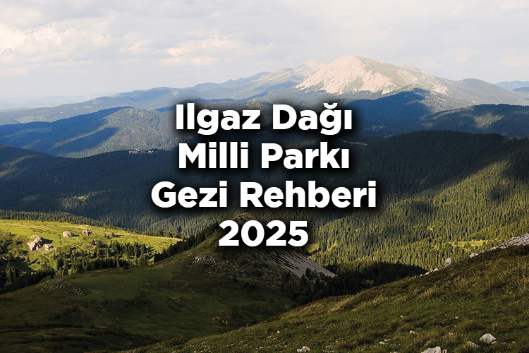 Ilgaz Dağı Milli Parkı Gezi Rehberi 2025