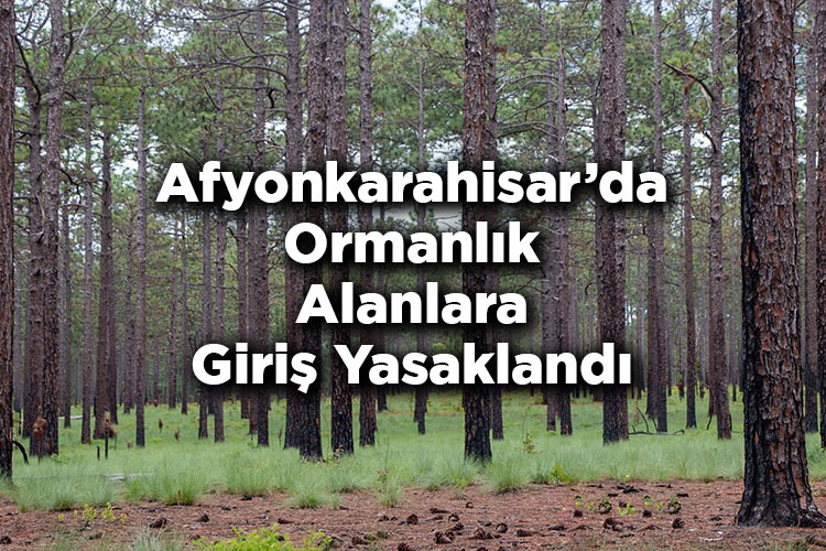 Afyonkarahisar'da Ormanlık Alanlara Giriş Yasaklandı – Afyonkarahisar'da Ormana Giriş Yasak Mı?