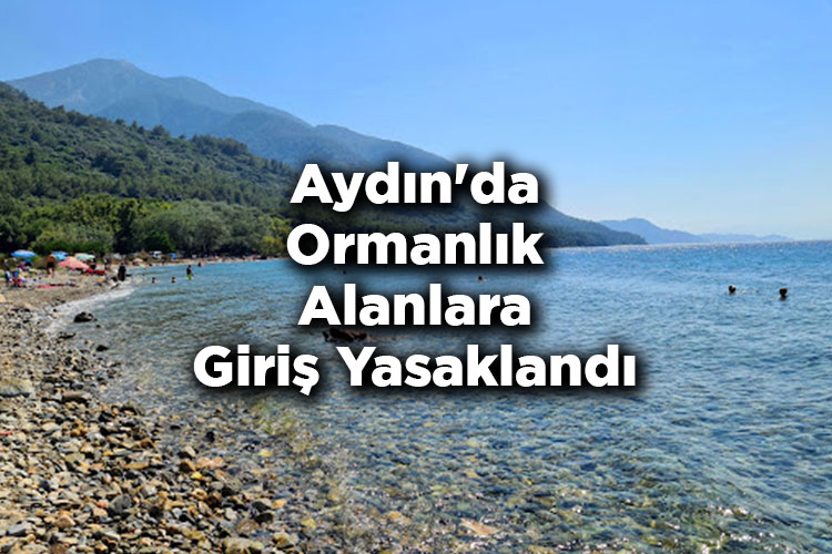 Aydın'da Ormanlık Alanlara Giriş Yasaklandı – Aydın'da Ormana Giriş Yasak Mı?