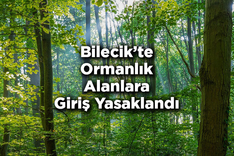 Bilecik'te Ormanlık Alanlara Giriş Yasaklandı – Bilecik'te Ormana Giriş Yasak Mı?