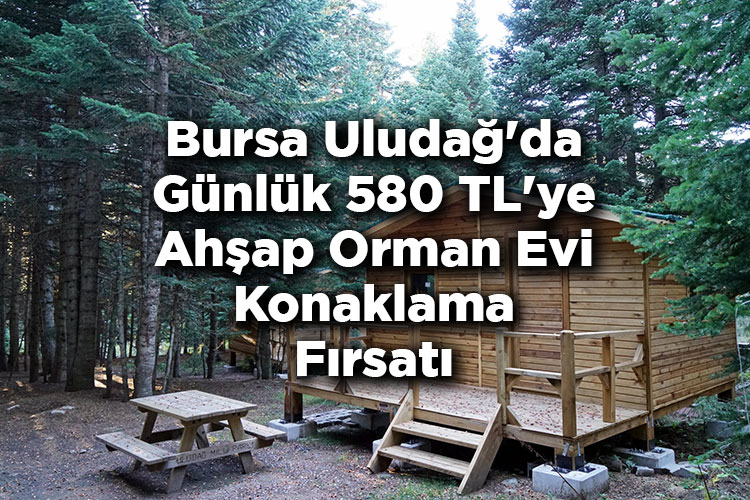 Bursa Uludağ'da Günlük 580 TL'ye Ahşap Orman Evi Konaklama Fırsatı: Başvurular Başlıyor