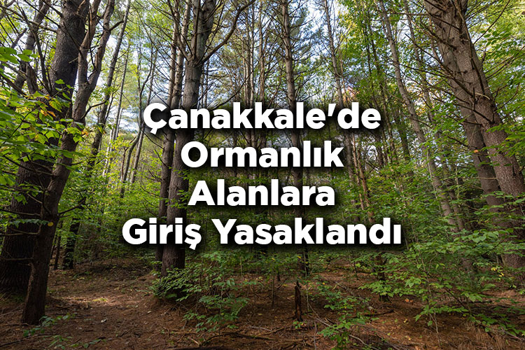 Çanakkale'de Ormanlık Alanlara Giriş Yasaklandı – Çanakkale'de Ormana Giriş Yasak Mı?