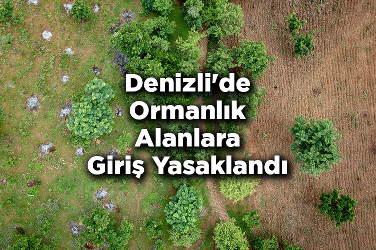 Denizli'de Ormanlık Alanlara Giriş Yasaklandı – Denizli'de Ormana Giriş Yasak Mı?