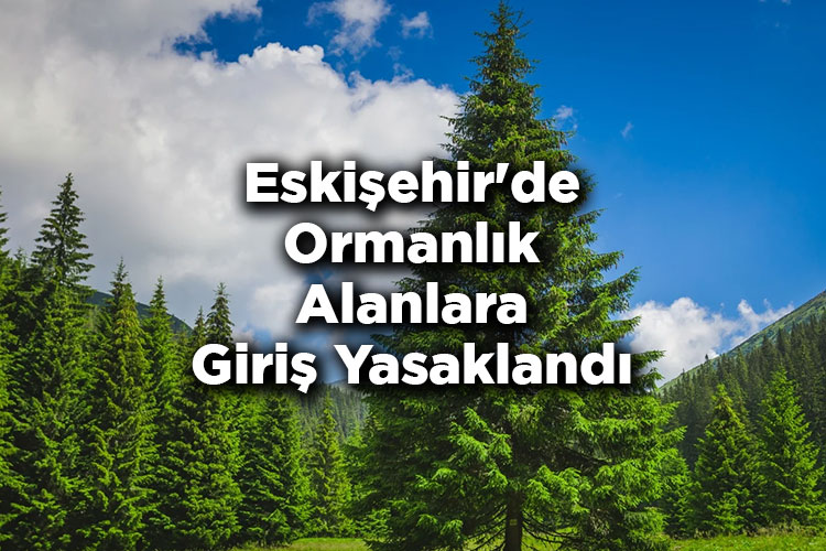 Eskişehir'de Ormanlık Alanlara Giriş Yasaklandı – Eskişehir'de Ormana Giriş Yasak Mı?