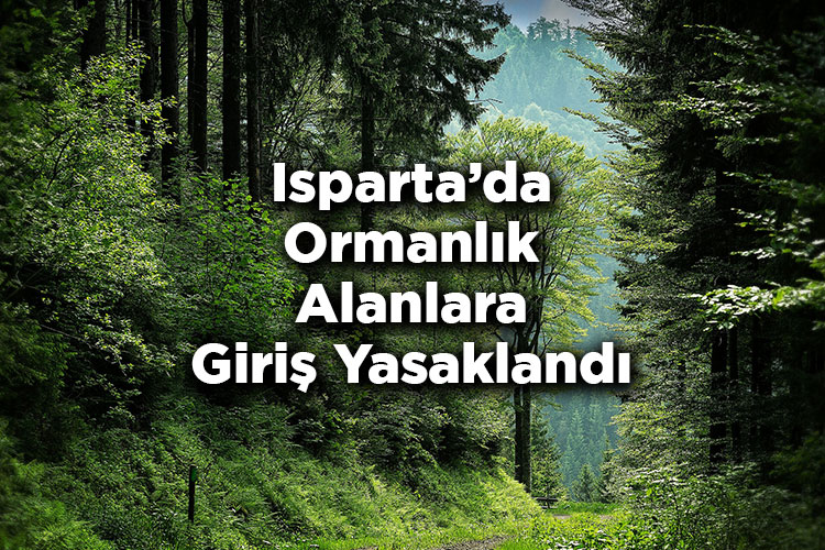 Isparta'da Ormanlık Alanlara Giriş Yasaklandı – Isparta'da Ormana Giriş Yasak Mı?