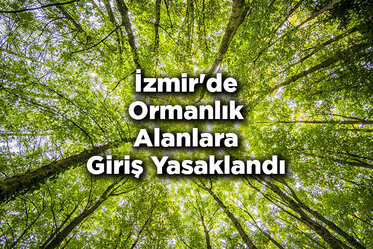 İzmir'de Ormanlık Alanlara Giriş Yasaklandı – İzmir'de Ormana Giriş Yasak Mı?