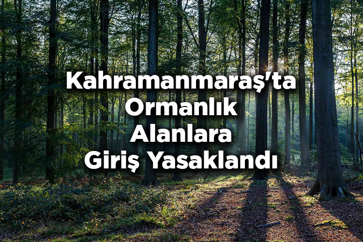Kahramanmaraş'ta Ormanlık Alanlara Giriş Yasaklandı – Kahramanmaraş'ta Ormana Giriş Yasak Mı?