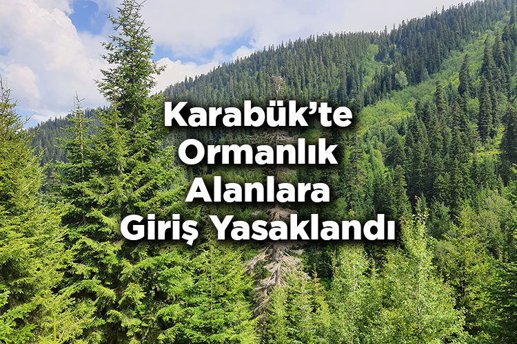 Karabük’te Ormanlık Alanlara Giriş Yasaklandı! – Karabük’te Ormana Giriş Yasak Mı?