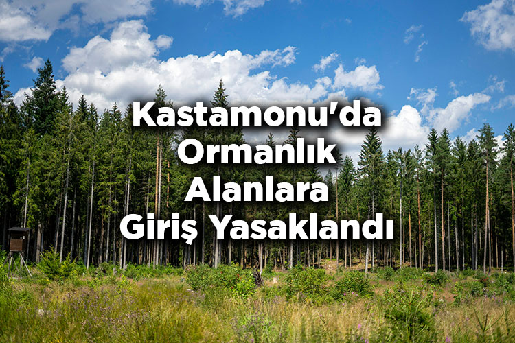 Kastamonu'da Ormanlık Alanlara Giriş Yasaklandı – Kastamonu'da Ormana Giriş Yasak Mı?